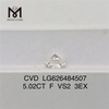 5.02CT F VS2 3EX Diamanti sciolti certificati IGI CVD LG626484507丨Messigems