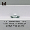 Diamanti verdi da 3 ct VS2 EX VG CVD MQ FANCY VERDE GRIGIO VS2 EX VG CVD LG586346997 
